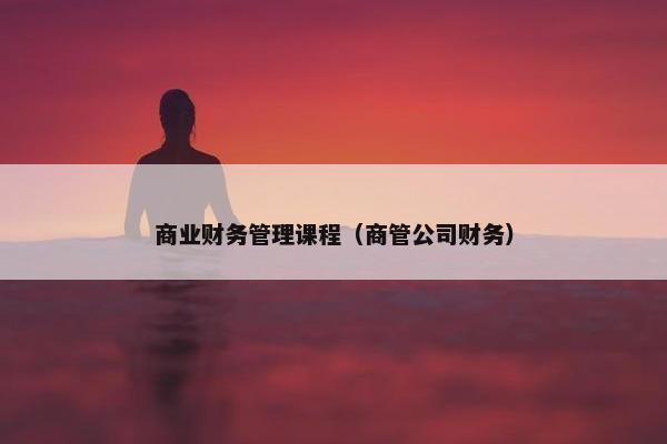 商业财务管理课程（商管公司财务）