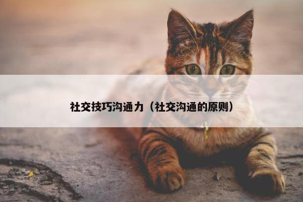 社交技巧沟通力（社交沟通的原则）