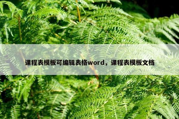 课程表模板可编辑表格word，课程表模板文档