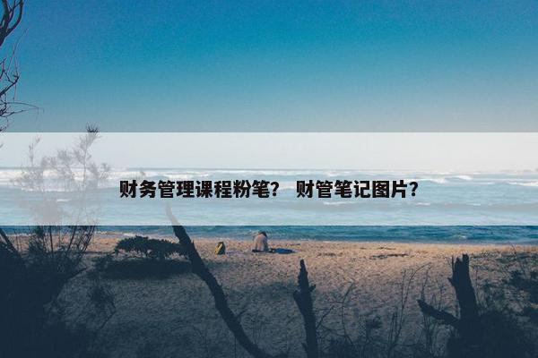财务管理课程粉笔？ 财管笔记图片？