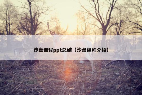 沙盘课程ppt总结（沙盘课程介绍）