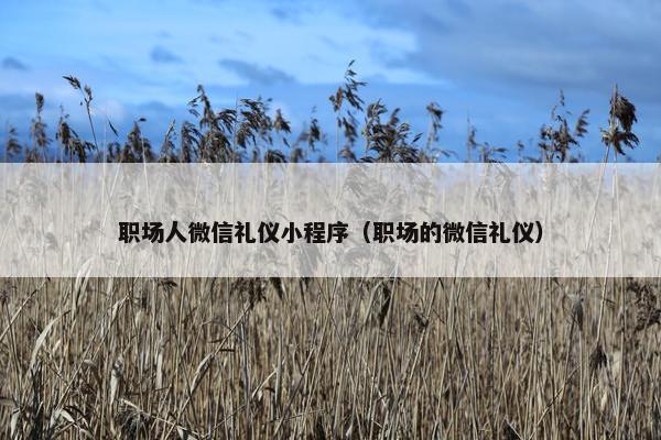 职场人微信礼仪小程序（职场的微信礼仪）