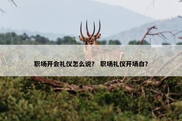 职场开会礼仪怎么说？ 职场礼仪开场白？