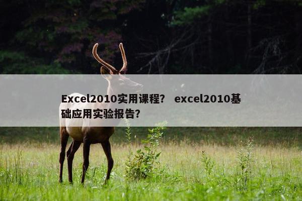 Excel2010实用课程？ excel2010基础应用实验报告？