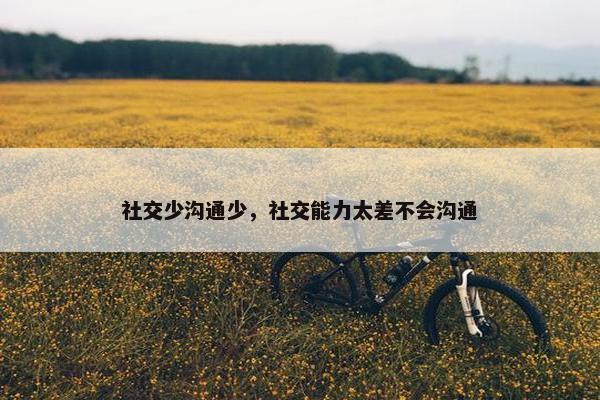 社交少沟通少，社交能力太差不会沟通