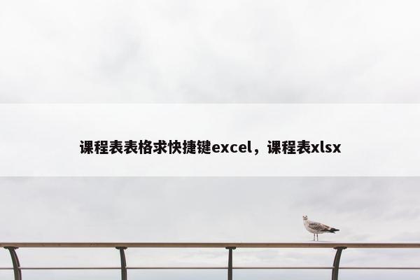 课程表表格求快捷键excel，课程表xlsx