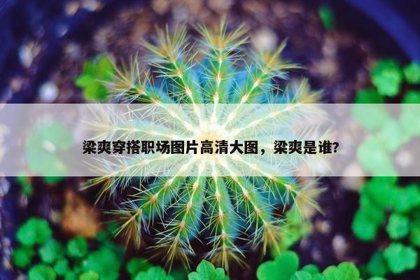 梁爽穿搭职场图片高清大图，梁爽是谁?