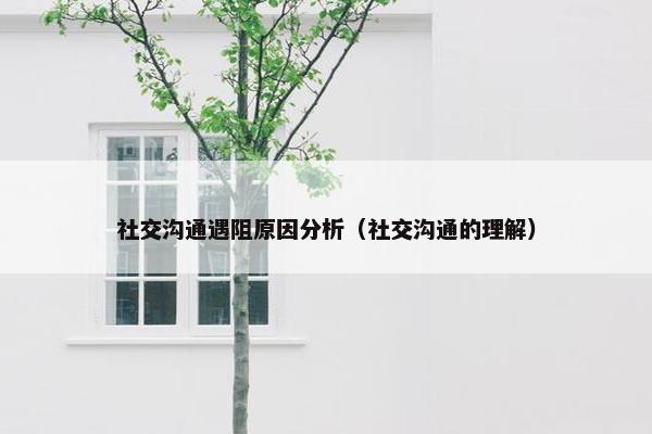 社交沟通遇阻原因分析（社交沟通的理解）