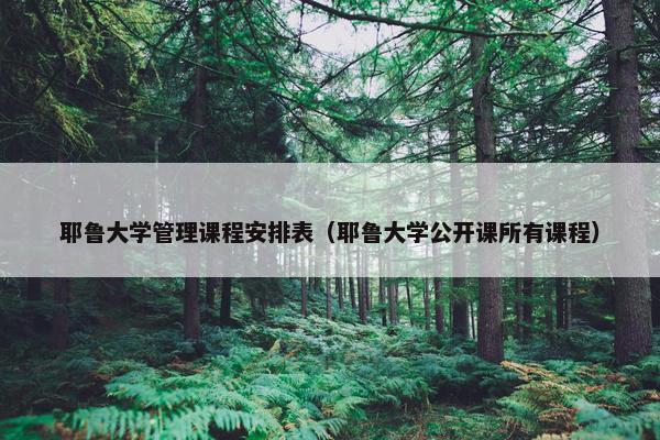 耶鲁大学管理课程安排表（耶鲁大学公开课所有课程）
