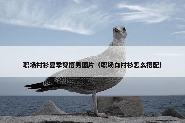职场衬衫夏季穿搭男图片（职场白衬衫怎么搭配）