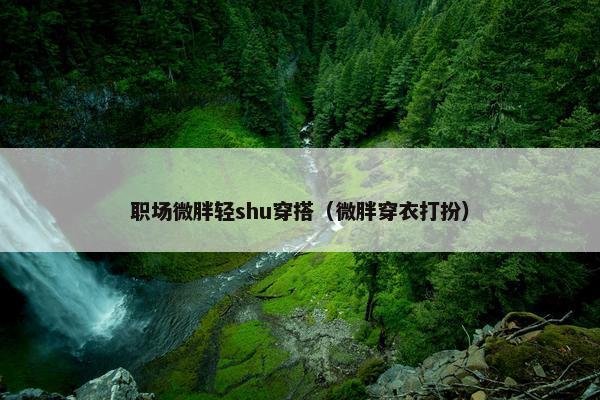职场微胖轻shu穿搭（微胖穿衣打扮）