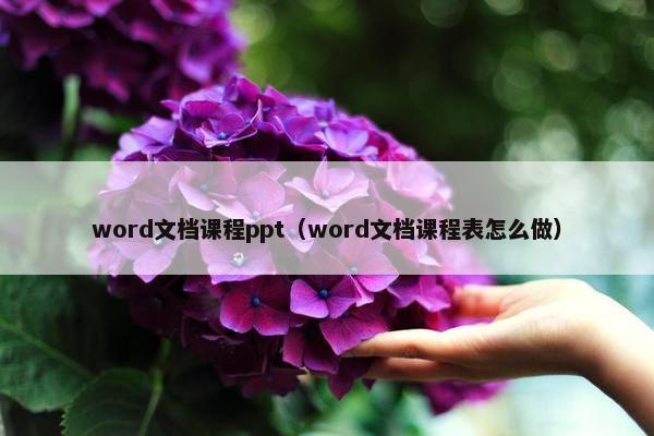 word文档课程ppt（word文档课程表怎么做）