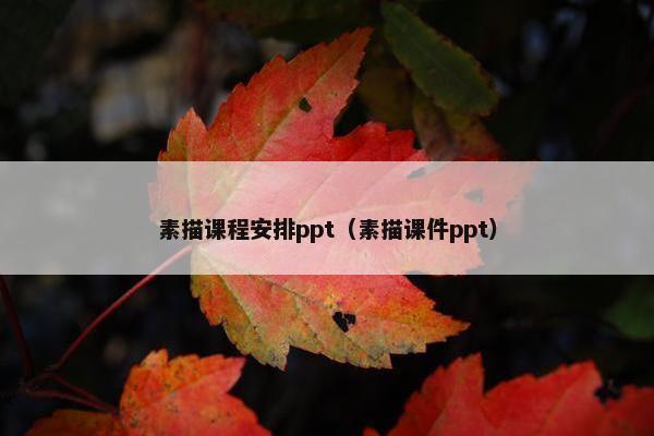 素描课程安排ppt（素描课件ppt）