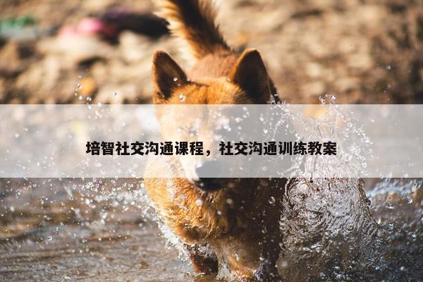 培智社交沟通课程，社交沟通训练教案